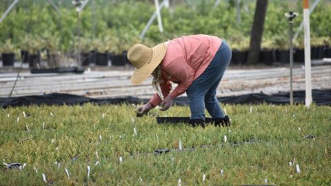 L’exploitant et son salarié devront appliquer la nouvelle convention collective nationale sur la feuille de paye d’avril.© Jennifer Overfield /Pixabay